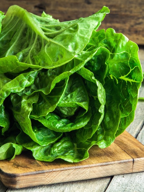 ¿Cómo revivir una lechuga marchita?